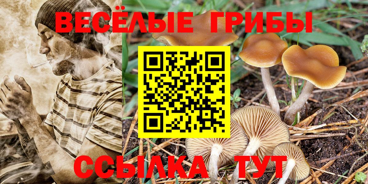 Галлюциногенные грибы Cubensis Жигулёвск