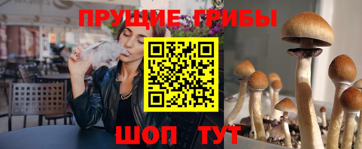 где купить наркоту  Галлюциногенные грибы Magic Shrooms  Вход с VPN  Жигулёвск 