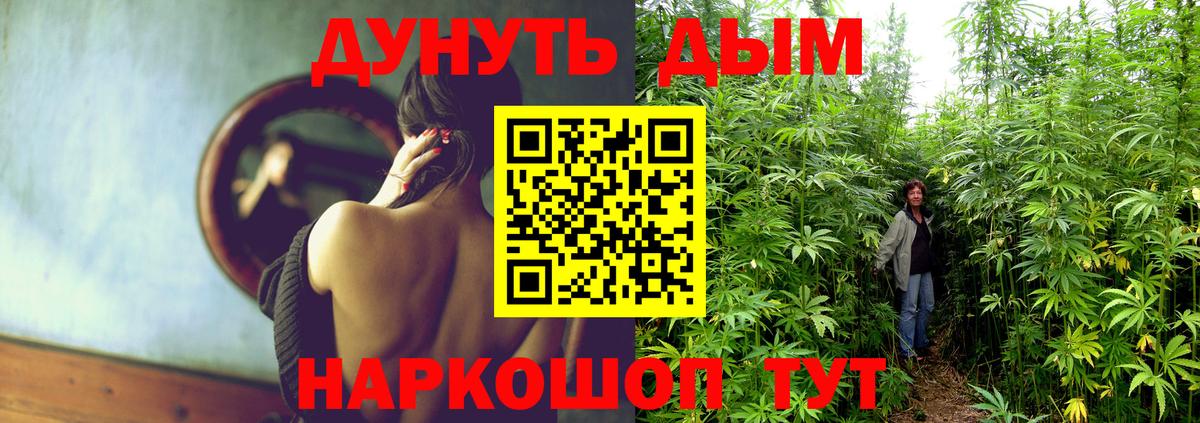 Марихуана семена  МАРИХУАНА индика  Жигулёвск  Вход с VPN 